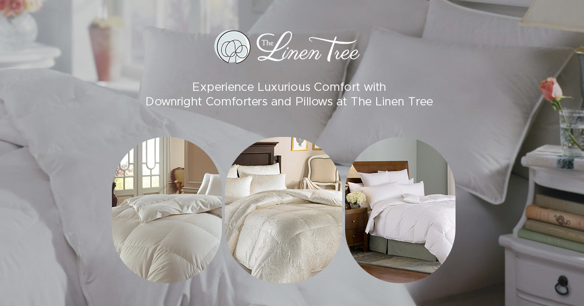 Luxury with Downright Comforters & Pillows The Linen Tree